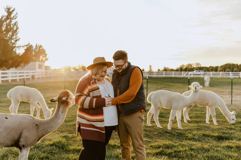 Alpaca Farm Expecting Shoot