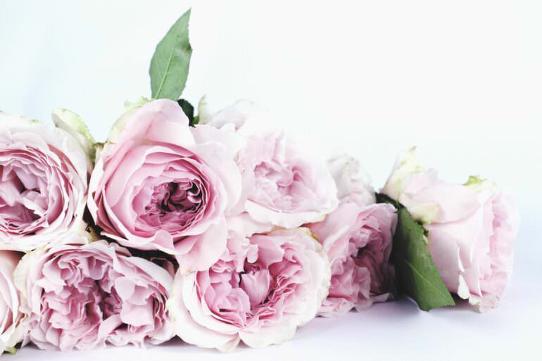 Best Wedding Flowers 2023