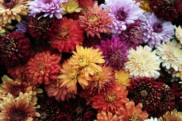 Best of Wedding Flowers 2024