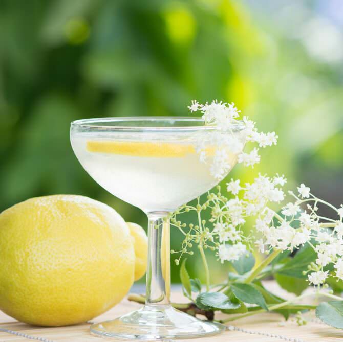 Elderflower Spritz Cocktail Recipe