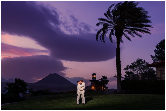 Couple embraces under twilight sky and palm tree.