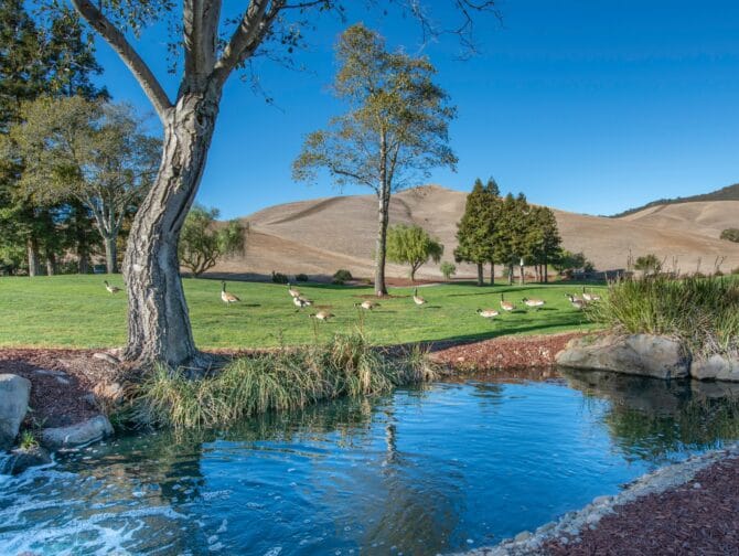 Picturesque Country Club Lake View